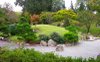 Japanesegarden