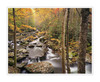 Autumn_creek_bend