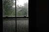 Rainy_window_1