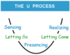 U_process