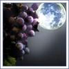 Wine_moon