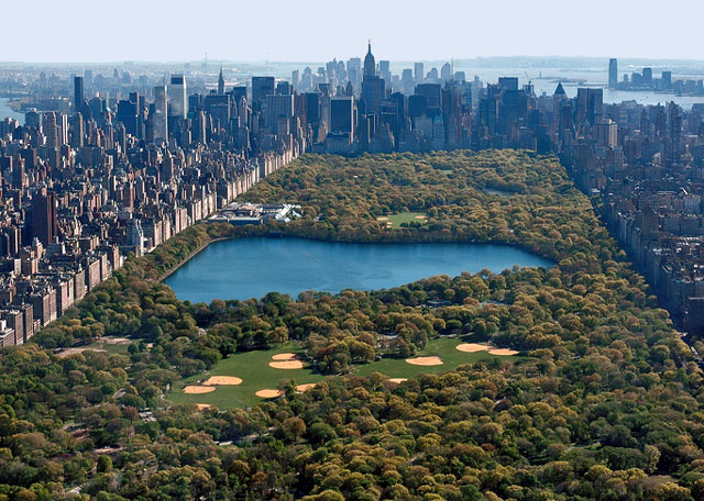 Central-park-picture