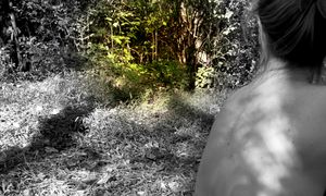 M l j woods focal bw 2