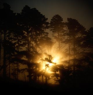 FoggysunriseIrealnd23jpg