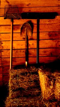 Rake shovel broom 1b