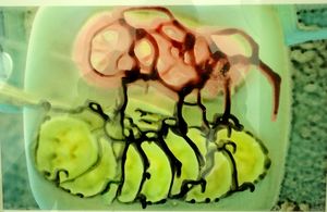 Photo Ink Painting #1 -copyright Erie Chapman 2011