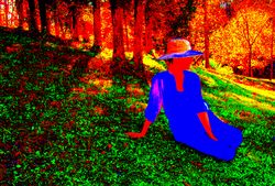 Hill series 1 - copyright erie chapman 2011