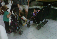 Dad showing kids video