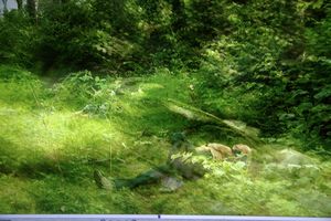 Fantasy series 1a copyright erie chapman 2011