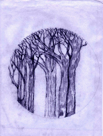 Wintertrees