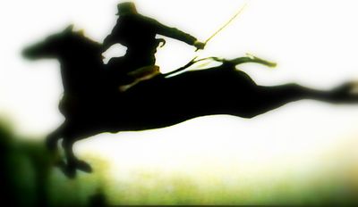 Horse jumping screen capture