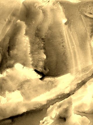 Bird in fight  2 8 12