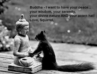 Buddha and squirrel_n