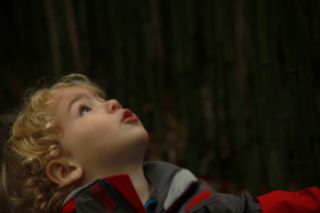 He looks to heaven 2