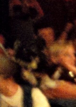 Audience - station inn copyright erie chapman 2014