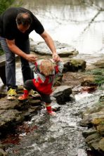 Father and child - stream