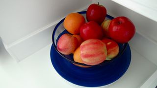 Apples oranges florida 2