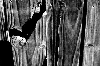 Broken fence 3c bw copyright erie chapman 2013