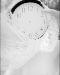 Timeless white #6 copyright 2015 erie chapman