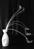 Calla bw #2
