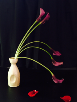 Calla with rose petals #3 