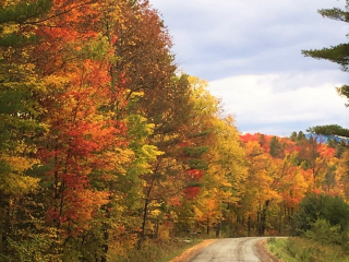 Vermont Country Road
