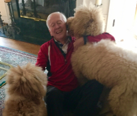 Canine caregivers 2 (51)