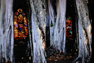 Double stained #5a final copyright erie chapman 2017