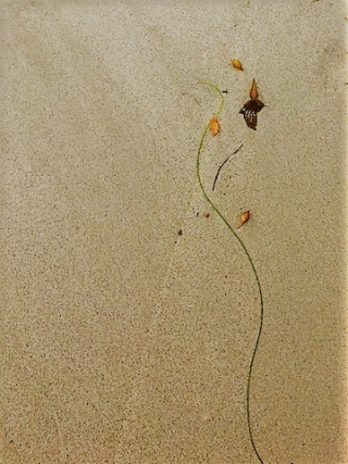 Simplicity of Nature