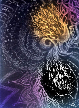 Puerta Plata Feb 2018