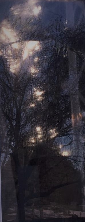 Light reveals beauty