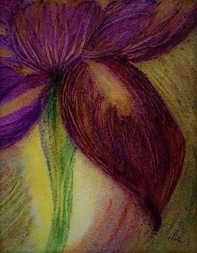 Purple Iris 11-3-2018-3