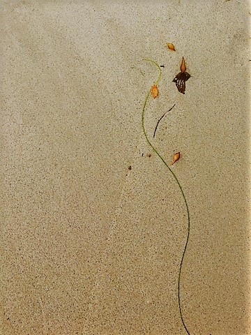 Simplicity of Nature