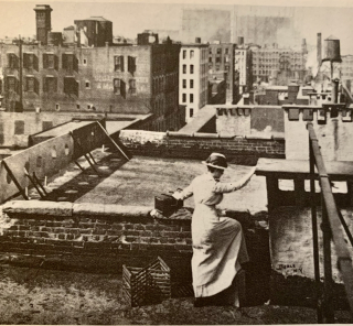 The Visiting Nurse 1908 #1