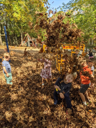 Reed & Co throwing leaves