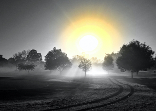 The Light (c) Erie Chapman 2016