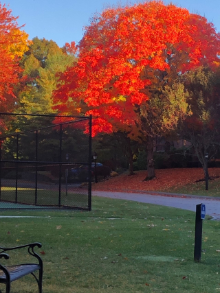 PHOTO BY TERRY CHAPMAN