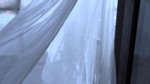 CURTAINS OF WINGS CURTAINS OF WINGS